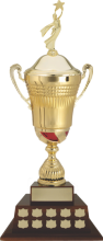 Azeroth Gold cup  on walnut finish base annual trophy