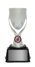Silver plastic cup