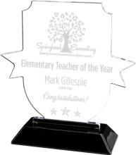 Snap-in Acrylic Insignia Award