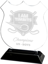 Snap-in Acrylic Shield Award