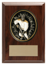 Hockey Blow-Out Plaque, F