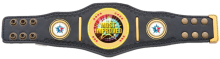Mini champion belt
