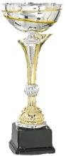 Silver and Gold Trophy