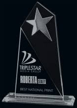 Vision Glass Award