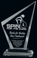 Velocity Glass Award