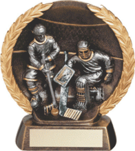 5 1/2&quot; goalie and player resin plate
