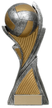 Hurricane Volleyball trophy