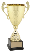 Avellino Gold Cup
