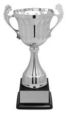 Lorenzo Cup