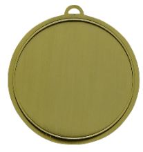 2&quot; Falcon Insert Medallion - Back