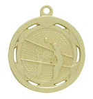 Volleyball Strata Medal
