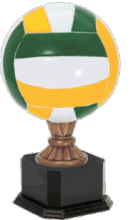 Volleyball Champion Trophy - Black Base