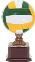 Volleyball Champion Trophy - Rosewood Base