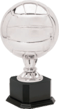 Volleyball Champion Trophy - Silver with Black Base