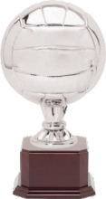 Volleyball Champion Trophy - Silver with Rosewood Base