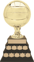 Volleyball Champion Annual - Gold Ball