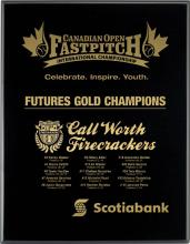 Piano Finish Plaque without Plate