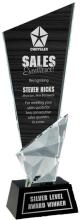 Vertex Crystal Award