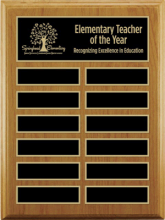 Alder Annual Plaque 9&quot; x 12&quot;