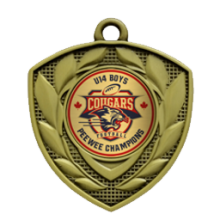 2&quot; Defender Insert Medallion - Gold