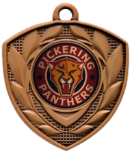 2&quot; Defender Insert Medallion - Bronze