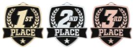 Varsity first, second and third medals