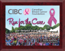 Awareness Ribbon Plaque