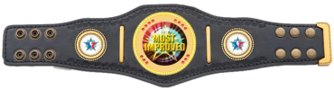 Mini champion belt
