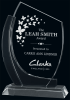 Hampton Optic Crystal Award