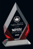 Delta Optic Crystal Award