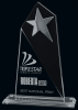 Vision Glass Award