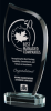 Quest Glass Award