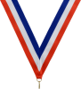 1 1/2" V-Style Neck Ribbons