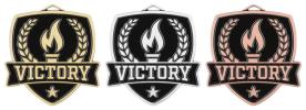 Varsity Victory Medal