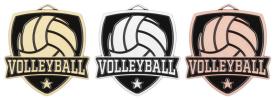 Varsity volleyball medal
