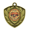 2" Defender Insert Medallion - Gold