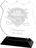 Snap-in Acrylic Shield Award