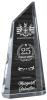 Paramount Crystal Optic Award