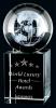 3D Laser Rise &amp; Shine Optic Crystal Globe Award