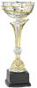 Silver and Gold Trophy