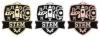 Varsity STEM medals