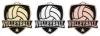 Varsity volleyball medal
