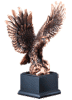 Wing Spread eagle trophy
