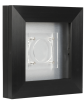 Single Puck Presentation Display Case