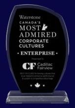 8 1/2" Black Mountain Glass Award