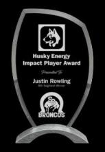 Endeavour Silver Aluminum &amp; Glass Award