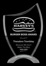 Viking Silver Aluminum &amp; Glass Award