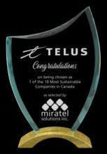 Viking Gold Aluminum &amp; Glass Award